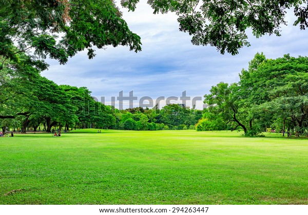 Public Park Background On Summer Day Stock Photo (Edit Now) 294263447