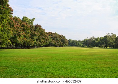 97,232 Grass field perspective Images, Stock Photos & Vectors ...