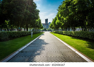 Public Square With Empty Road Floor In Downtown