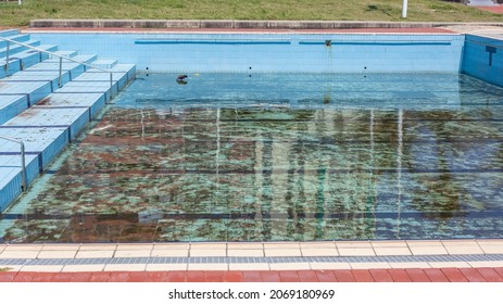 Public Swimming Pool Empty No Water Dirty No Maintenance Outdoors Public Facility.