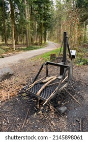 Public Use Metal Grill Station And Fire Wood In A Forest. Day Time, Wide Angle, No People.