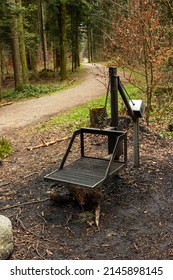 Public Use Metal Grill Station And Fire Wood In A Forest. Day Time, Wide Angle, No People