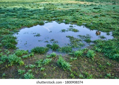 Puddle Filled Water Stock Photo 1800908374 | Shutterstock