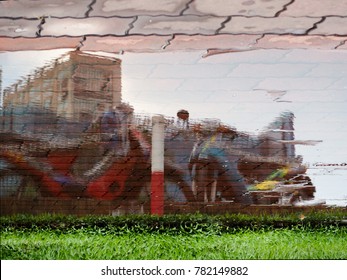 puddle and grass