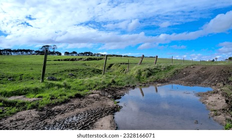 Puddle looking over an old bluestone quarry with cow tracke coming out
