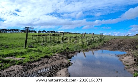 Puddle looking over an old bluestone quarry with cow tracke coming out
