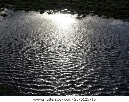 A puddle with many waves due to strong wind in the Westerwald, Germany.