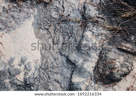 Puddle, mud, clay and sand, top view. Grunge texture.