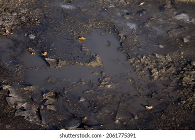 A Puddle Of Mud And Ice