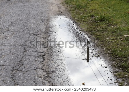 A puddle on the asphalt