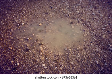 Puddle on the ground