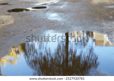 a puddle on the road