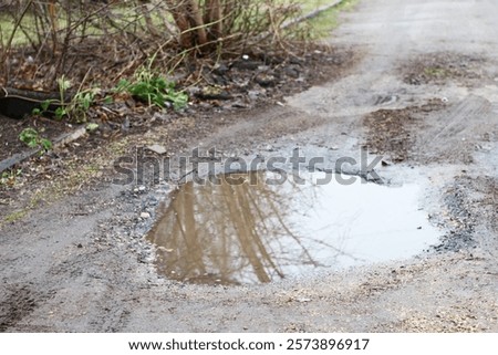 A puddle on the road