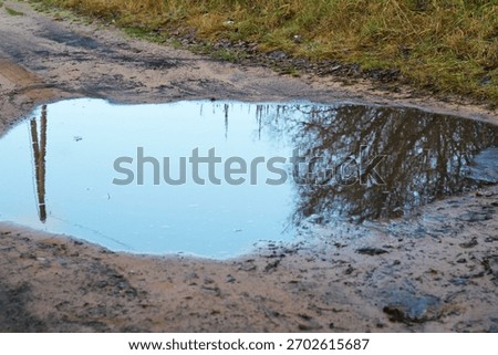 A puddle on the road