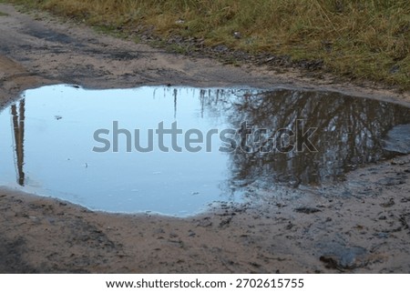 A puddle on the road