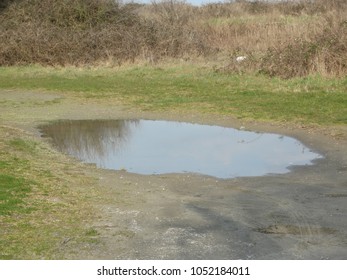 puddle in a park
