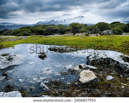 Puddle, pine trees and clouds and Sierra de Gredos on the background. Cadalso de los Vidrios. Madrid. Spain.