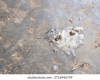 A puddle of questionable white liquid and debris rests on a dusty, worn gray surface, creating a visually unappealing and textured ground with an abstract feel.
