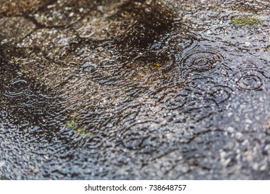 Puddle with raindrops falling