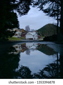 Puddle Reflection in the contryside