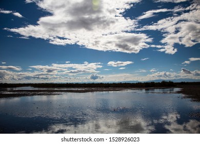 Puddle with reflection of the sky