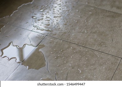 A puddle of spilled water on a tile floor.