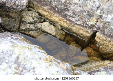 Puddle of water