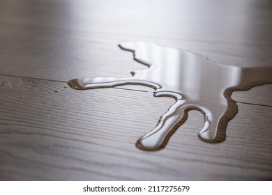 puddle of water on laminate, wooden floor. Waterproof laminate concept