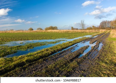 Puddles on the field and muddy road