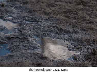 Puddles On The Ground, Wet Ground After Rain, Water On The Site