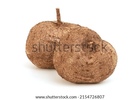 Pueraria mirifica isolated on white background with clipping path. 