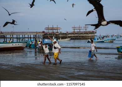 Puerto Lopez, Ecuador / Nov 26, 2012: Seagulls Swarm Around Boat As Fish Are Unloaded