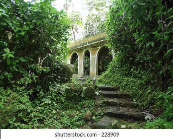 Puerto Rico Rain Forest