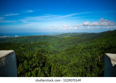 Puerto Rico Rain Forest El Yunque