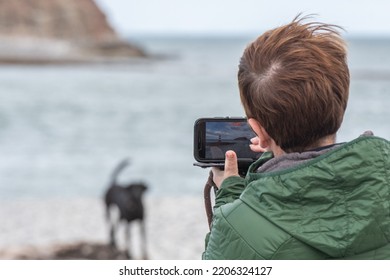 Puffin Island, Isle Of Anglesey