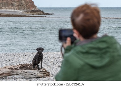 Puffin Island, Isle Of Anglesey