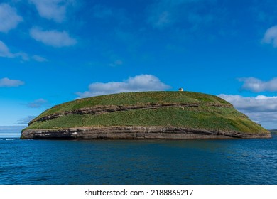 Puffin Island Near Husavik, Iceland