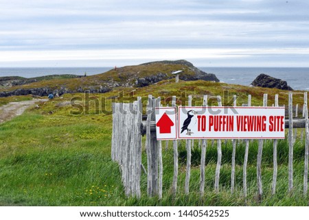 Puffin site sign near cliffs by Atlantic Ocean