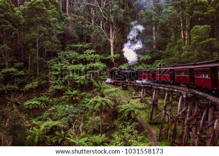 Puffing Billy in motion going over a bridge overlooking lush fern gullies and forests, Belgrave, Victoria, Australia