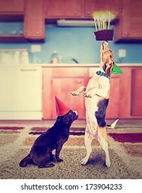 a pug and a beagle with birthday cake and an instagram filter done vintage style for a retro look