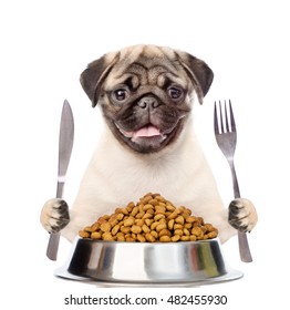 Pug with bowl of dry dog food  holds a knife and fork. isolated on white background