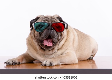 glasses for dogs to see color