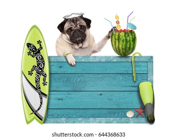 Pug Dog With Blue Vintage Wooden Beach Sign, Surfboard And Summer Watermelon Cocktail, Isolated On White Background