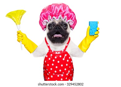 Pug Dog Doing Household Chores With Rubber Gloves And Shower Cap, Isolated On White Background