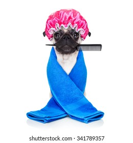 Pug Dog  With Shower Cap At The Hairdresser With Comb In Mouth   , Isolated On White Background