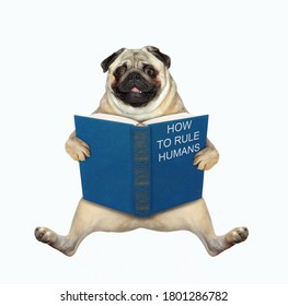 The pug dog is sitting with a open blue book called how to rule humans. White background. Isolated.