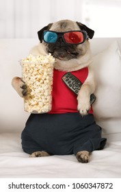 Pug Dog In The Three-dimensional Glasses With A Remote Control In His Paws And Popcorn Watch TV Lounging On The Sofa
