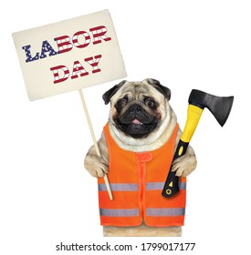 The Pug Dog Worker In A Orange Vest Is Holding A Construction Ax And A Sign Labor Day. White Background. Isolated.