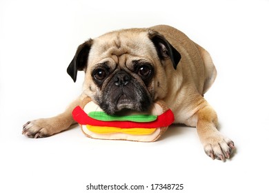 Pug Laying Down And Resting His Head On A Hot Dog Toy.