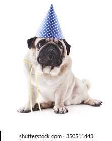 Pug In A Party Hat